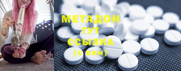 гидра Инта