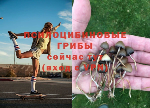 каннабис Каменногорск