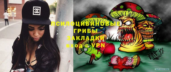 шишки Иннополис