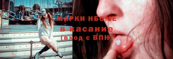 гидра Инта
